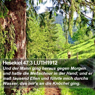 Hesekiel 47:3 LUTH1912 Bible Verse Image