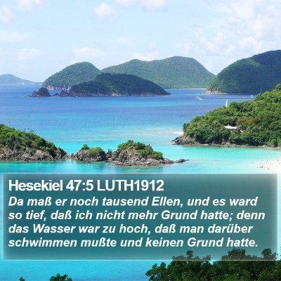 Hesekiel 47:5 LUTH1912 Bible Verse Image