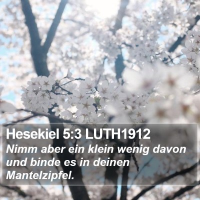 Hesekiel 5:3 LUTH1912 Bible Verse Image