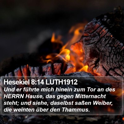 Hesekiel 8:14 LUTH1912 Bible Verse Image