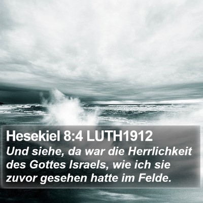 Hesekiel 8:4 LUTH1912 Bible Verse Image