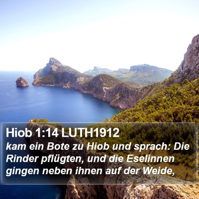 Hiob 1:14 LUTH1912 Bible Verse Image