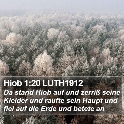Hiob 1:20 LUTH1912 Bible Verse Image