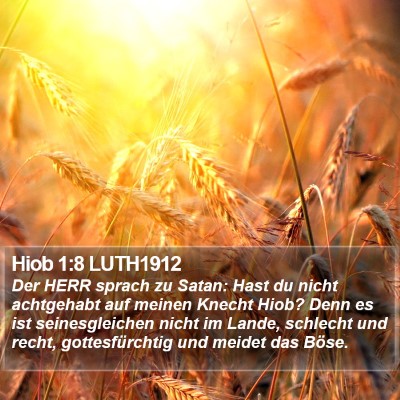 Hiob 1:8 LUTH1912 Bible Verse Image