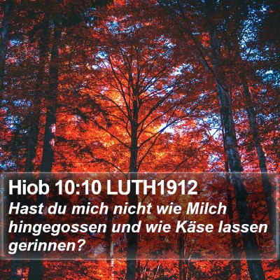 Hiob 10:10 LUTH1912 Bible Verse Image