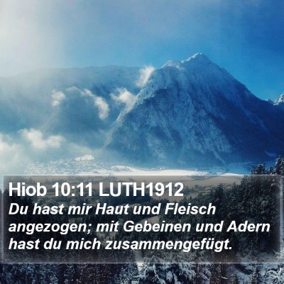 Hiob 10:11 LUTH1912 Bible Verse Image