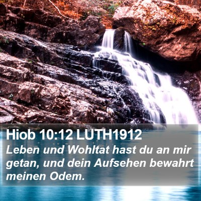 Hiob 10:12 LUTH1912 Bible Verse Image