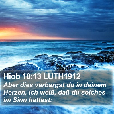 Hiob 10:13 LUTH1912 Bible Verse Image