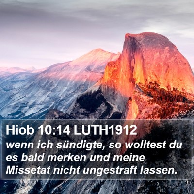 Hiob 10:14 LUTH1912 Bible Verse Image