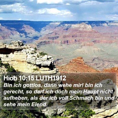 Hiob 10:15 LUTH1912 Bible Verse Image