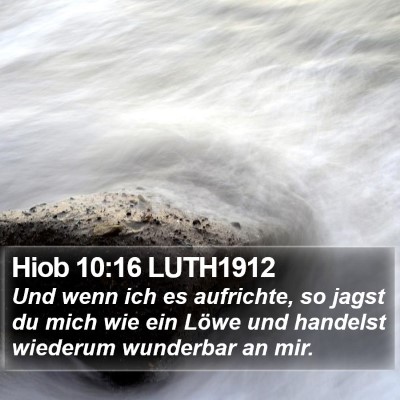 Hiob 10:16 LUTH1912 Bible Verse Image