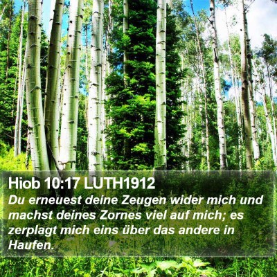 Hiob 10:17 LUTH1912 Bible Verse Image