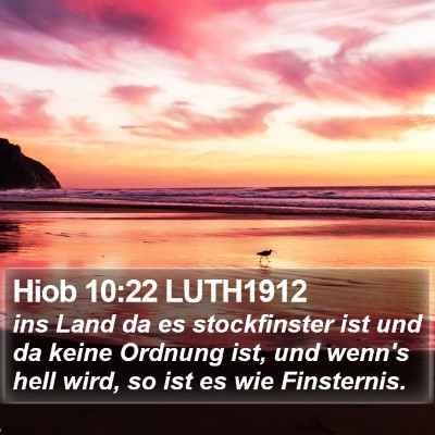Hiob 10:22 LUTH1912 Bible Verse Image