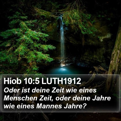 Hiob 10:5 LUTH1912 Bible Verse Image