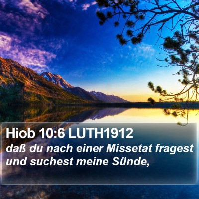 Hiob 10:6 LUTH1912 Bible Verse Image