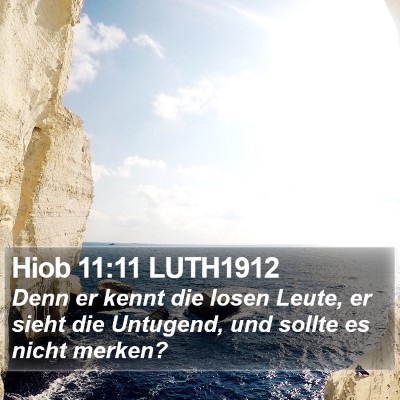 Hiob 11:11 LUTH1912 Bible Verse Image