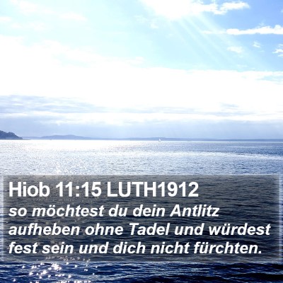 Hiob 11:15 LUTH1912 Bible Verse Image