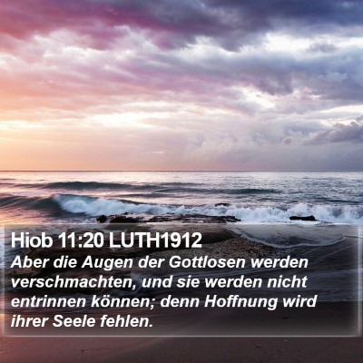 Hiob 11:20 LUTH1912 Bible Verse Image