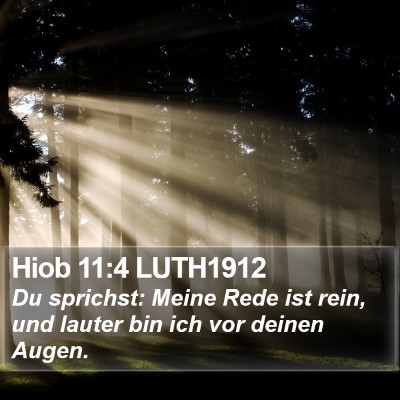 Hiob 11:4 LUTH1912 Bible Verse Image