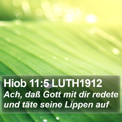 Hiob 11:5 LUTH1912 Bible Verse Image