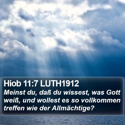 Hiob 11:7 LUTH1912 Bible Verse Image