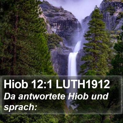 Hiob 12:1 LUTH1912 Bible Verse Image