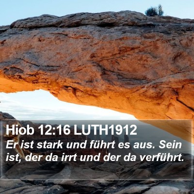 Hiob 12:16 LUTH1912 Bible Verse Image