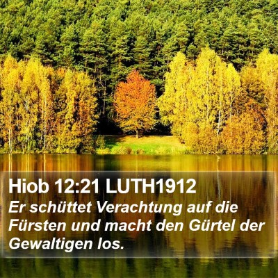 Hiob 12:21 LUTH1912 Bible Verse Image