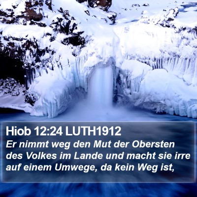 Hiob 12:24 LUTH1912 Bible Verse Image