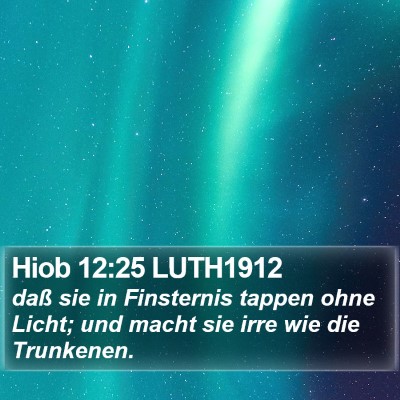 Hiob 12:25 LUTH1912 Bible Verse Image