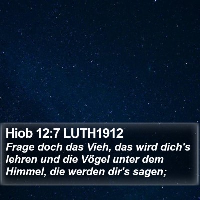 Hiob 12:7 LUTH1912 Bible Verse Image