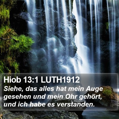 Hiob 13:1 LUTH1912 Bible Verse Image