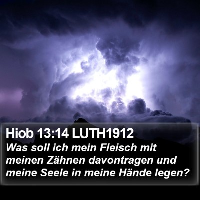 Hiob 13:14 LUTH1912 Bible Verse Image