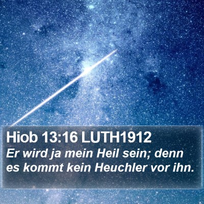 Hiob 13:16 LUTH1912 Bible Verse Image