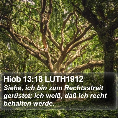 Hiob 13:18 LUTH1912 Bible Verse Image
