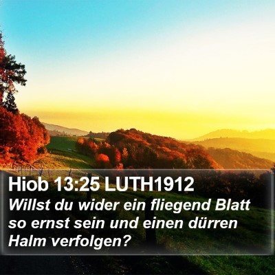 Hiob 13:25 LUTH1912 Bible Verse Image