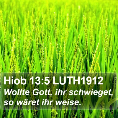 Hiob 13:5 LUTH1912 Bible Verse Image