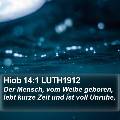 Hiob 14:1 LUTH1912 Bible Verse Image