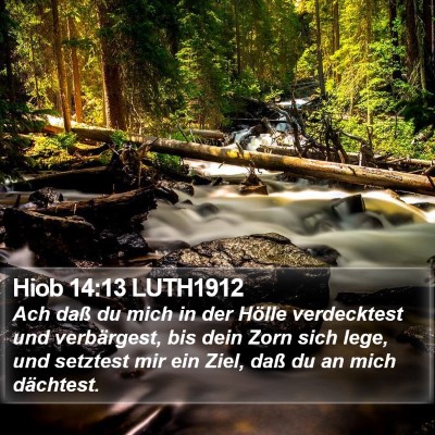 Hiob 14:13 LUTH1912 Bible Verse Image