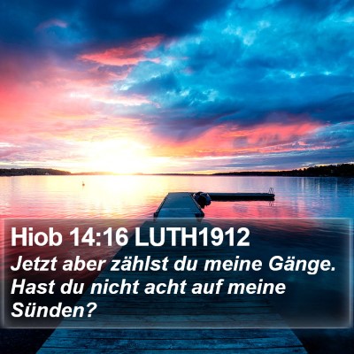 Hiob 14:16 LUTH1912 Bible Verse Image