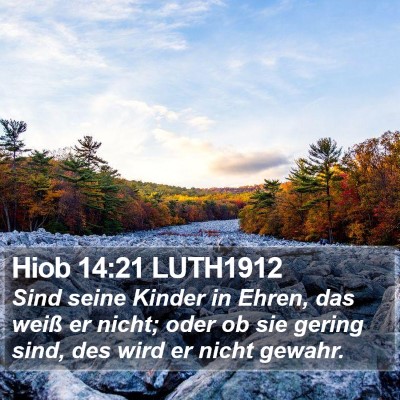 Hiob 14:21 LUTH1912 Bible Verse Image