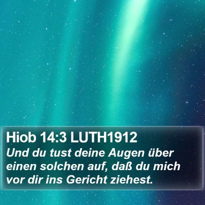 Hiob 14:3 LUTH1912 Bible Verse Image