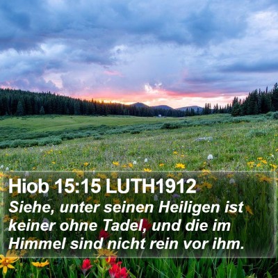 Hiob 15:15 LUTH1912 Bible Verse Image