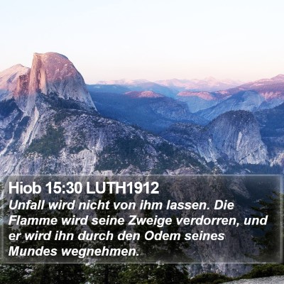 Hiob 15:30 LUTH1912 Bible Verse Image