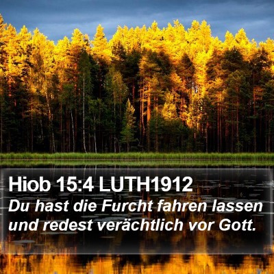 Hiob 15:4 LUTH1912 Bible Verse Image