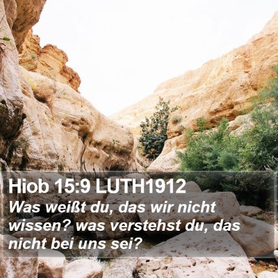 Hiob 15:9 LUTH1912 Bible Verse Image