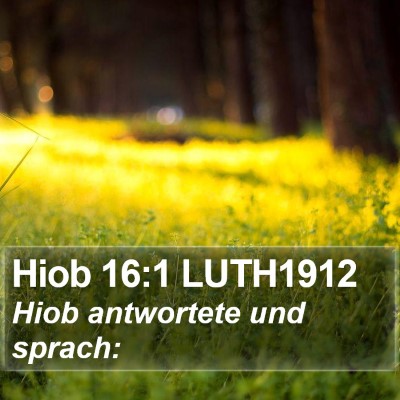 Hiob 16:1 LUTH1912 Bible Verse Image