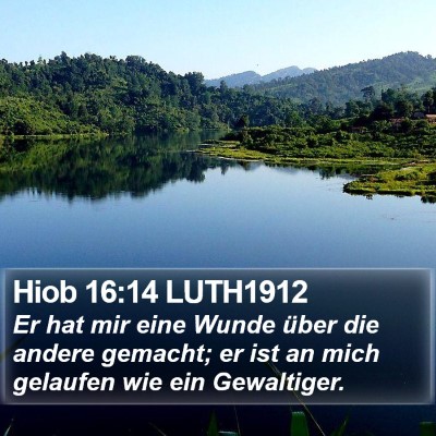 Hiob 16:14 LUTH1912 Bible Verse Image