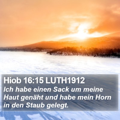 Hiob 16:15 LUTH1912 Bible Verse Image