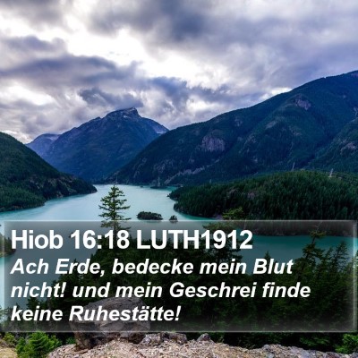 Hiob 16:18 LUTH1912 Bible Verse Image